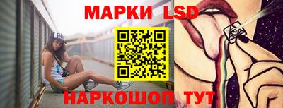 индика Сланцы