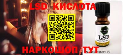 индика Сланцы