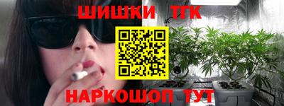 индика Сланцы