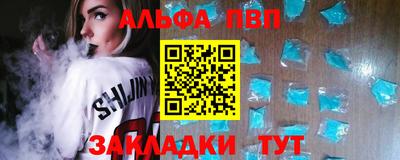 индика Сланцы