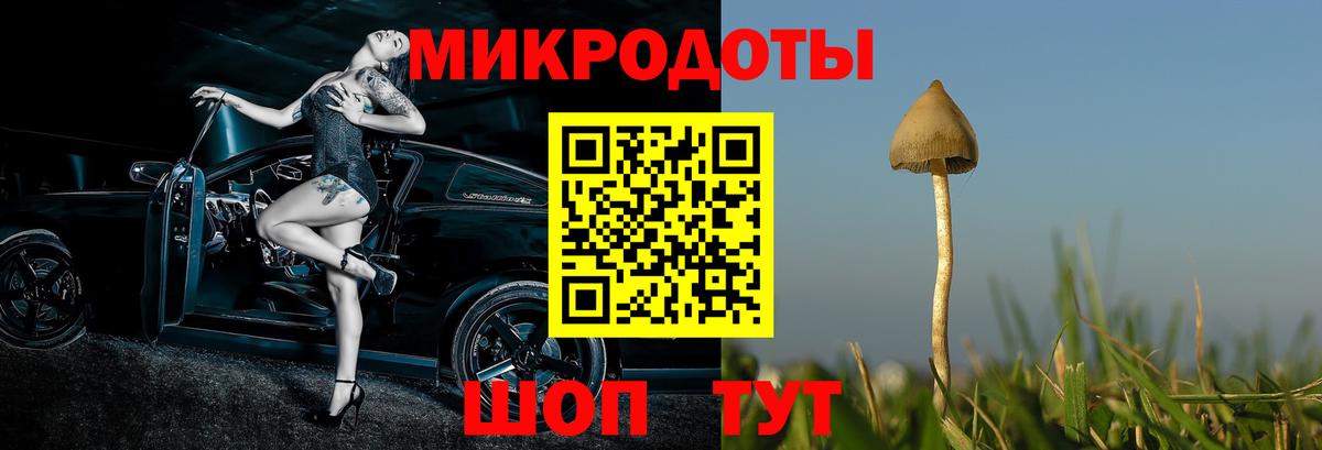 Галлюциногенные грибы Psilocybine cubensis  Вход с VPN  Сарапул  Псилоцибиновые грибы MAGIC MUSHROOMS 